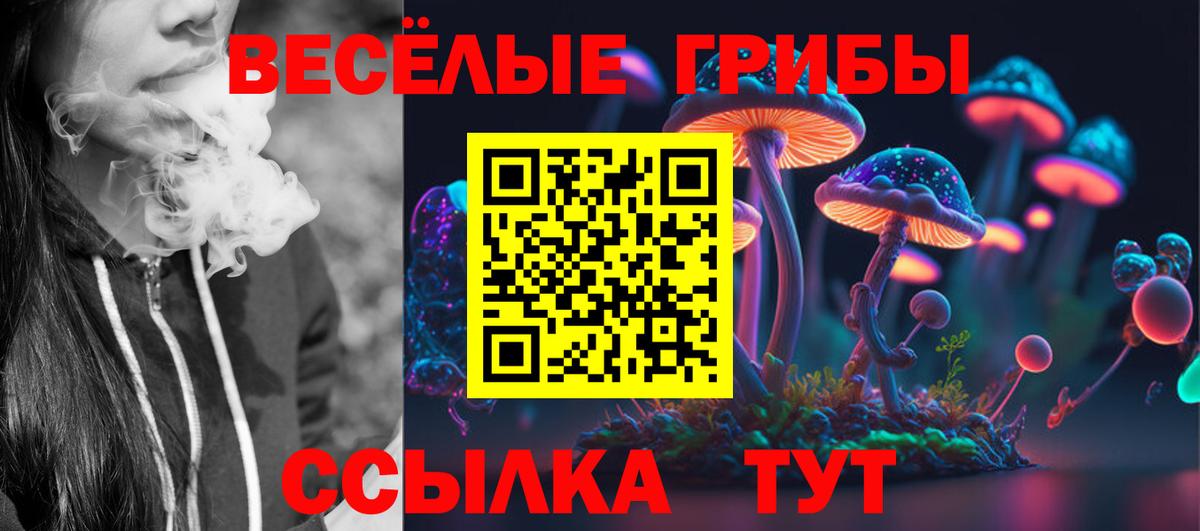Таганрог  Псилоцибиновые грибы ЛСД  Вход с VPN  Галлюциногенные грибы мухоморы 